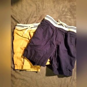 Oshogosh B'gosh 3t Shorts Set